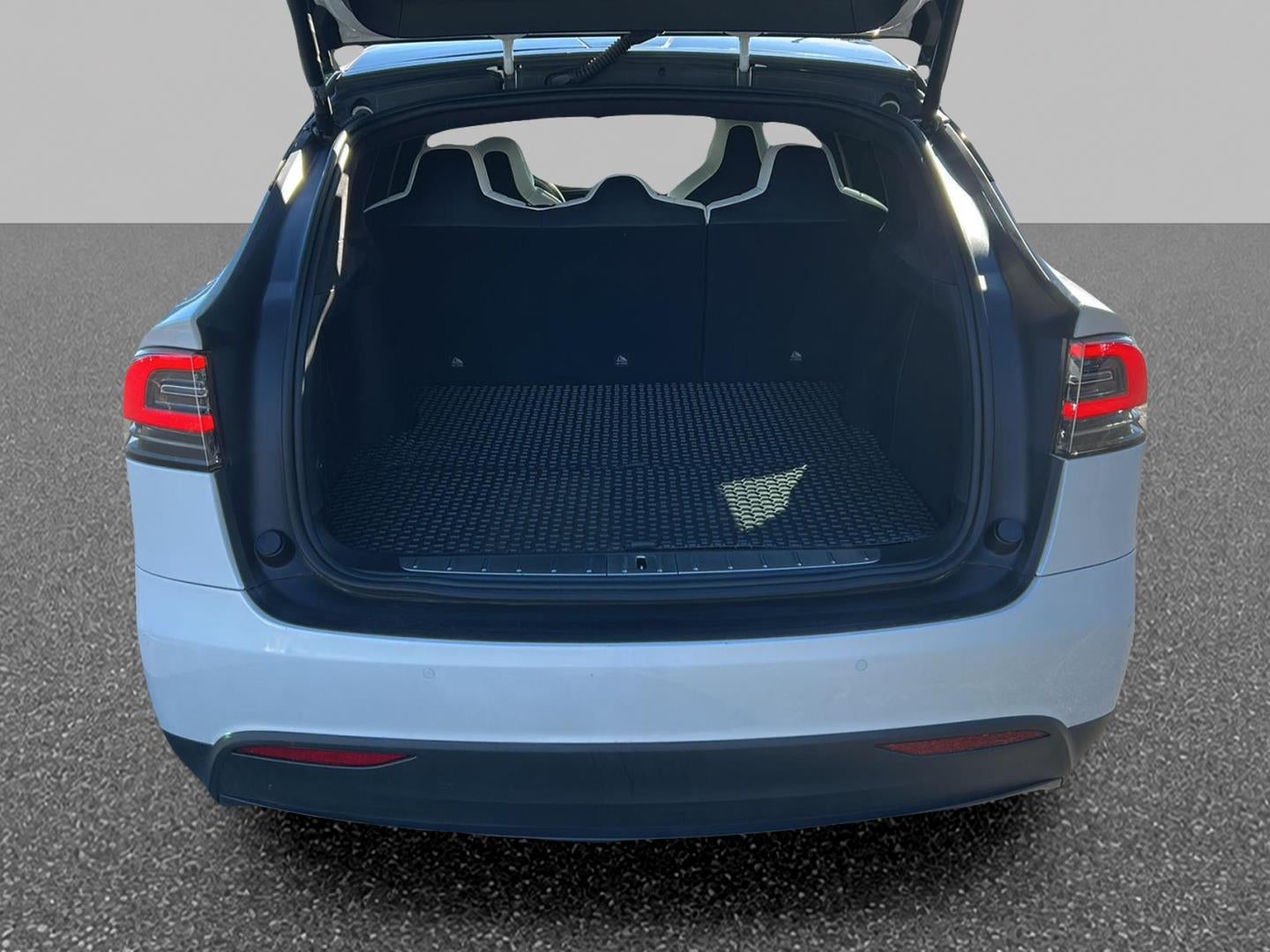 2019 Tesla Model X P100D