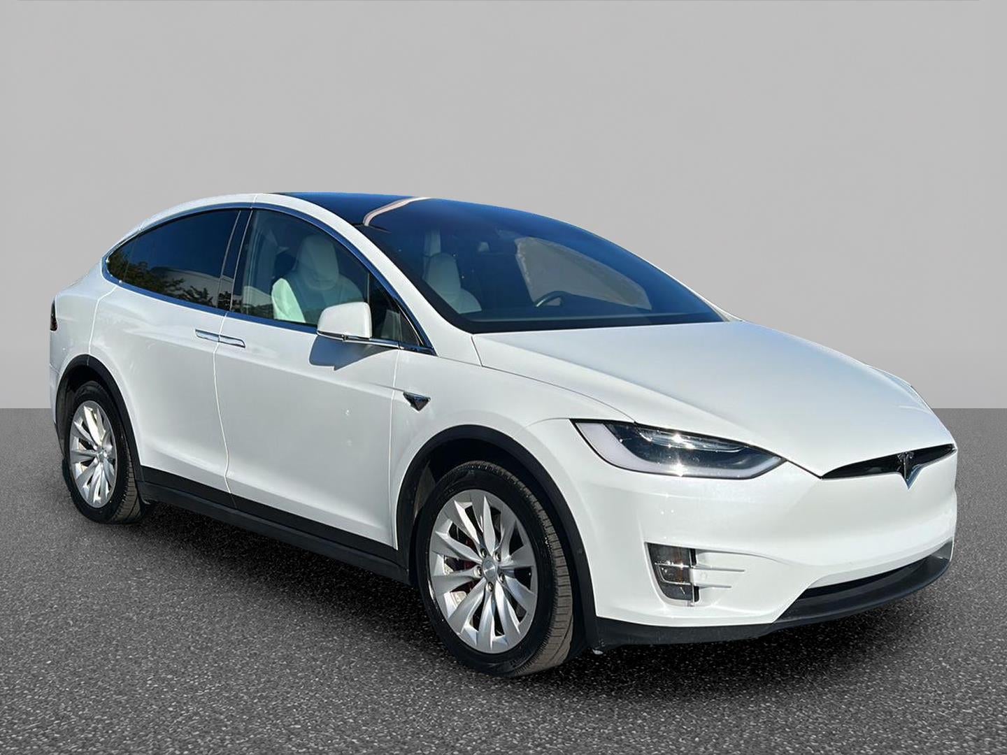 2019 Tesla Model X P100D